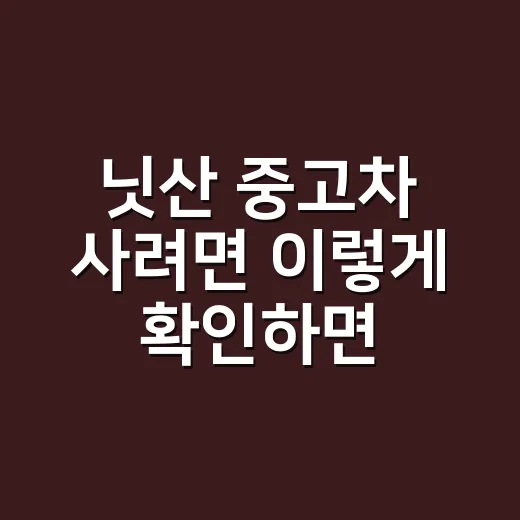 닛산 중고차 사려면 이렇게 확인하면 덜 후회합니다 - 요약