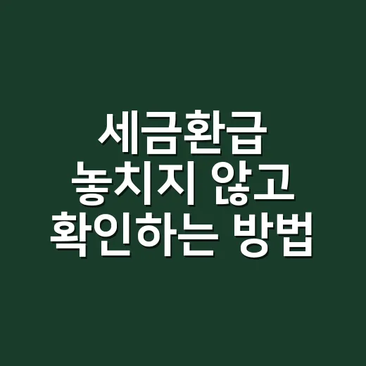 세금환급 놓치지 않고 확인하는 방법, 처음이면 이렇게 챙기면 됩니다 - 요약