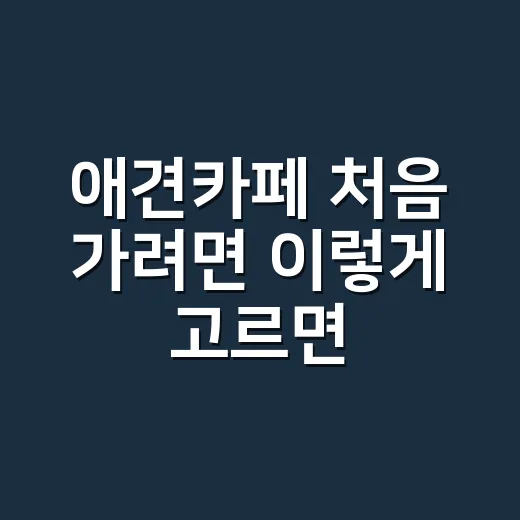 애견카페 처음 가려면 이렇게 고르면 편합니다 - 요약