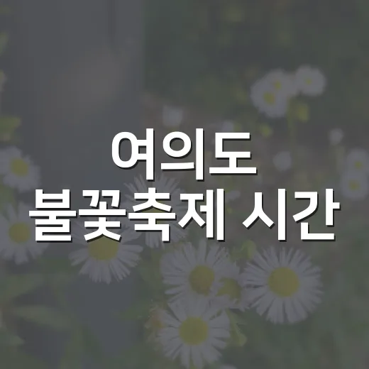 여의도 불꽃축제 시간, 제대로 즐기는 방법 - 요약