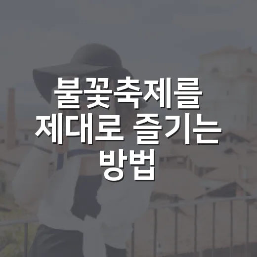 불꽃축제를 제대로 즐기는 방법 - 요약