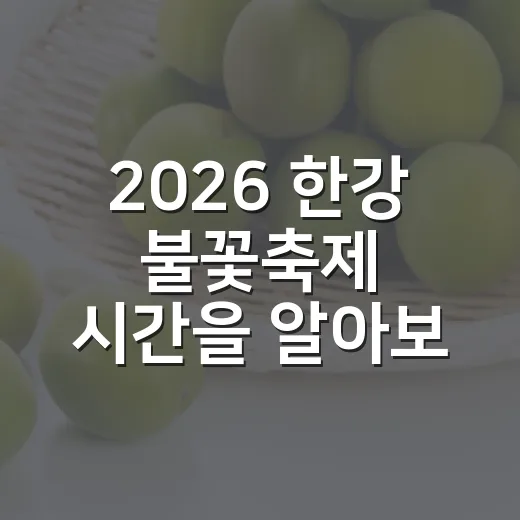 2026 한강 불꽃축제 시간을 알아보는 방법 - 요약