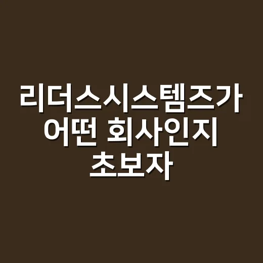 리더스시스템즈가 어떤 회사인지 초보자도 이해하는 방법 - 요약