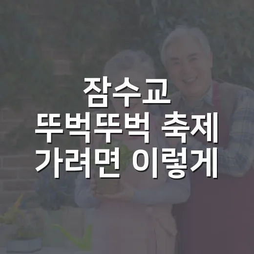 잠수교 뚜벅뚜벅 축제 가려면 이렇게 준비하는 방법 - 요약