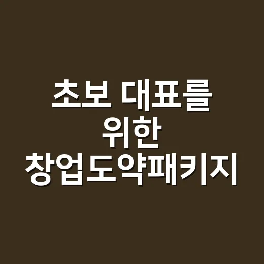 초보 대표를 위한 창업도약패키지 신청 방법과 준비 순서 - 요약