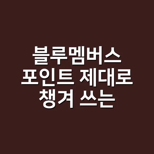 블루멤버스 포인트 제대로 챙겨 쓰는 방법 - 요약