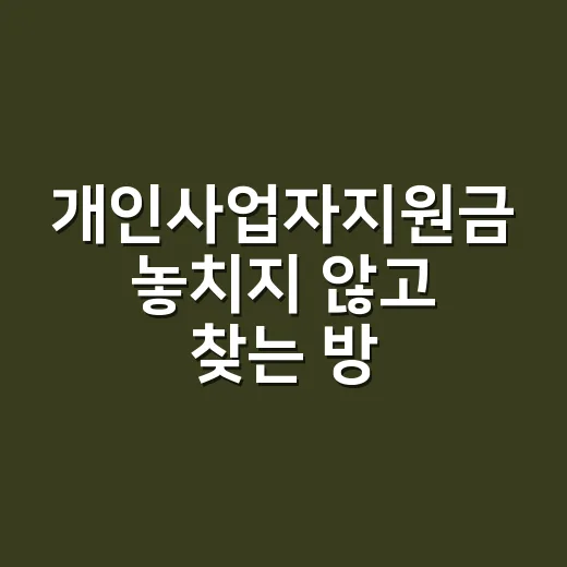 개인사업자지원금 놓치지 않고 찾는 방법, 초보 사장님은 이렇게 - 요약