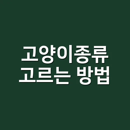 고양이종류 고르는 방법, 초보 집사가 먼저 보면 좋은 기준 - 요약