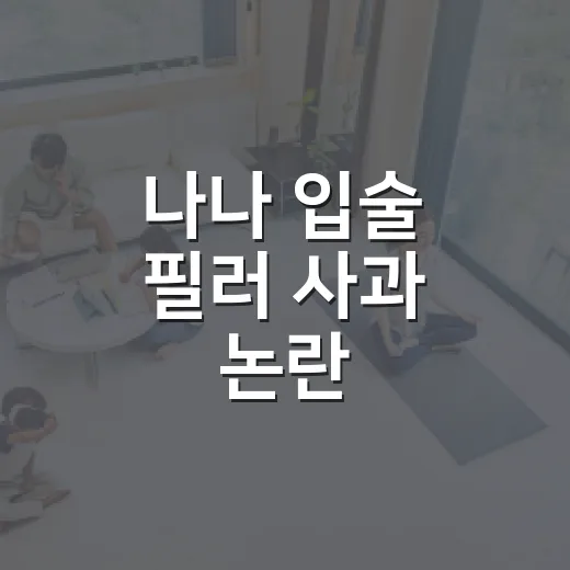 나나 입술 필러 사과 논란, 과열되지 않게 이해하는 방법 - 요약