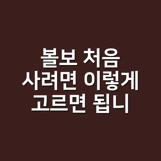 볼보 처음 사려면 이렇게 고르면 됩니다 - 요약
