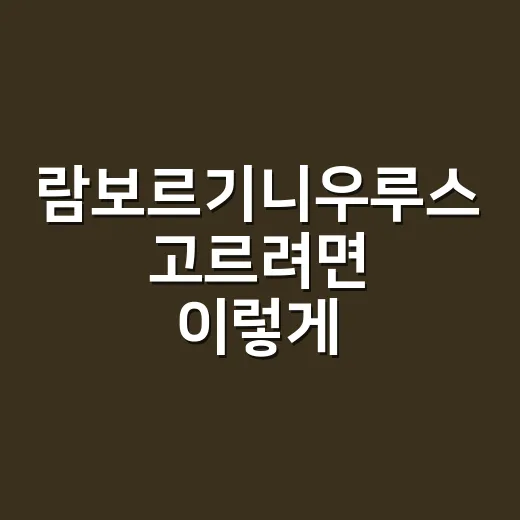 람보르기니우루스 고르려면 이렇게: SE와 중고까지 보는 방법 - 요약