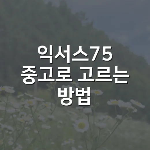 익서스75 중고로 고르는 방법, 초보자가 확인할 포인트 - 요약