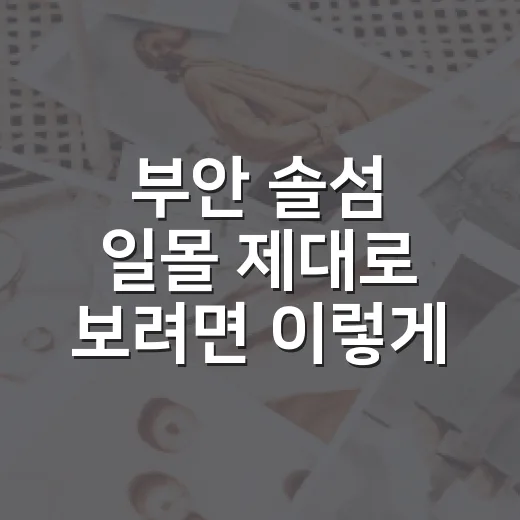 부안 솔섬 일몰 제대로 보려면 이렇게 준비하는 방법 - 요약
