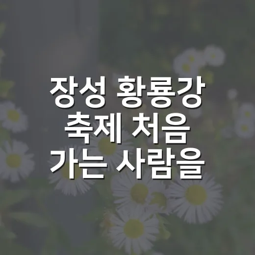 장성 황룡강 축제 처음 가는 사람을 위한 당일 코스 잡는 방법 - 요약