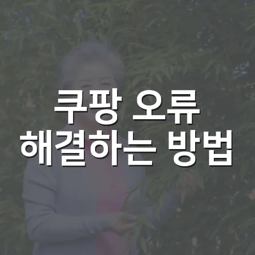 쿠팡 오류 해결하는 방법, 앱부터 결제까지 차근차근 확인하기 - 요약