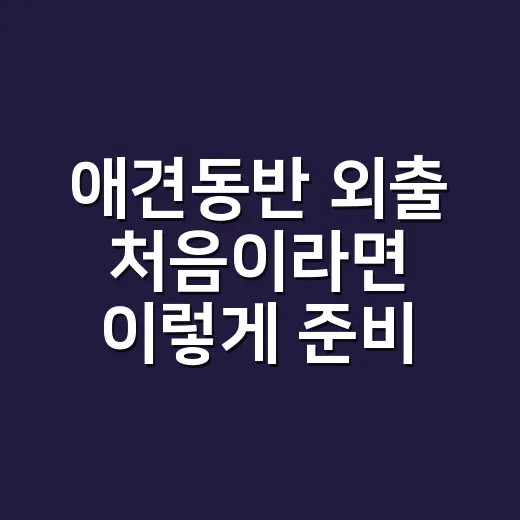 애견동반 외출 처음이라면 이렇게 준비하는 방법 - 요약