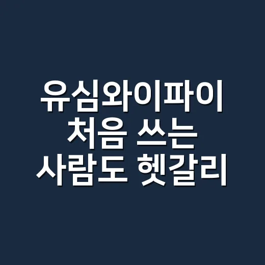 유심와이파이 처음 쓰는 사람도 헷갈리지 않게 준비하는 방법 - 요약