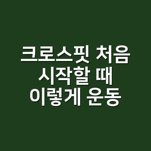 크로스핏 처음 시작할 때 이렇게 운동하세요 - 요약