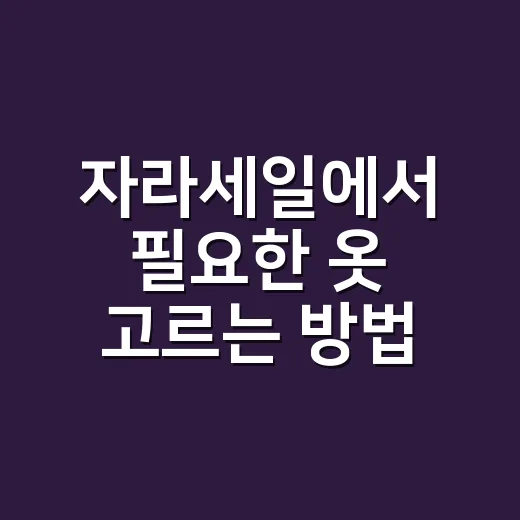 자라세일에서 필요한 옷 고르는 방법 - 요약