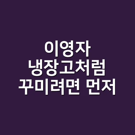 이영자 냉장고처럼 꾸미려면 먼저 볼 것들 - 요약