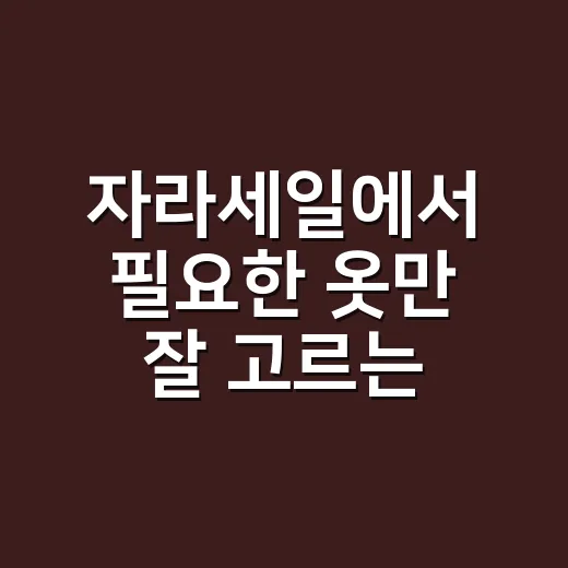 자라세일에서 필요한 옷만 잘 고르는 방법 - 요약