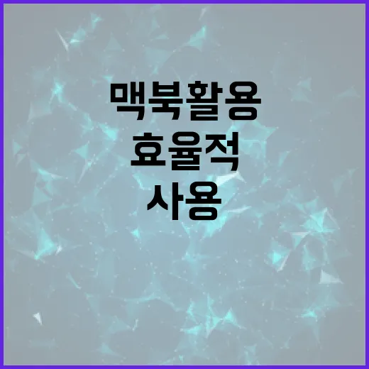 맥북 활용 팁: 효율적으로 사용하는 방법 - 요약