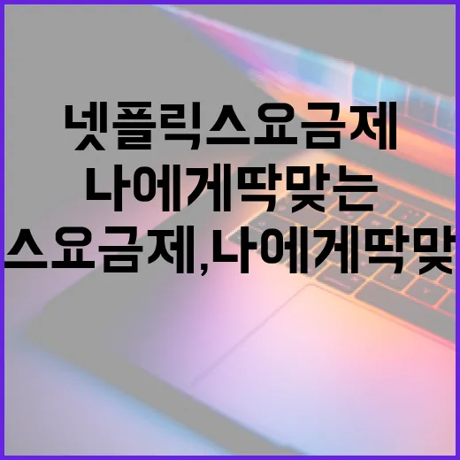 넷플릭스 요금제, 나에게 딱 맞는 선택을 알아보자! - 요약