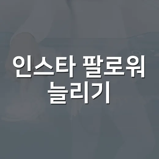 인스타 팔로워 늘리기: 초보자를 위한 실전 팁 - 요약