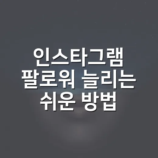 인스타그램 팔로워 늘리는 쉬운 방법 - 요약