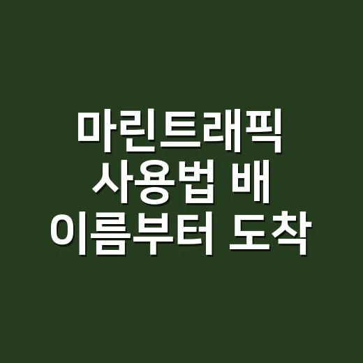 마린트래픽 사용법 배 이름부터 도착 예상까지 확인하는 방법 - 요약