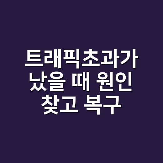 트래픽초과가 났을 때 원인 찾고 복구하는 방법 - 요약