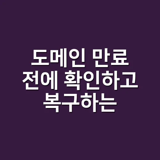 도메인 만료 전에 확인하고 복구하는 방법 - 요약