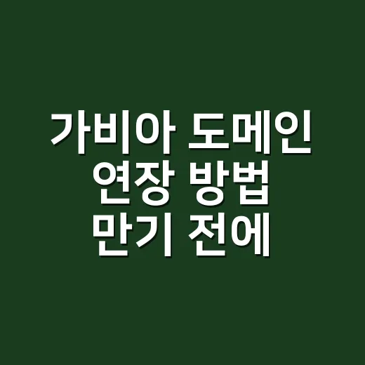 가비아 도메인 연장 방법 만기 전에 처리하려면 - 요약