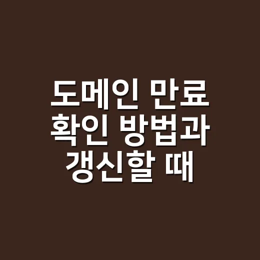 도메인 만료 확인 방법과 갱신할 때 확인할 것 - 요약