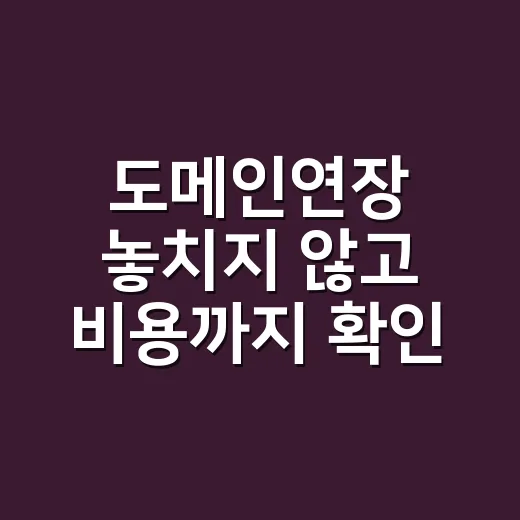 도메인연장 놓치지 않고 비용까지 확인하는 방법 - 요약