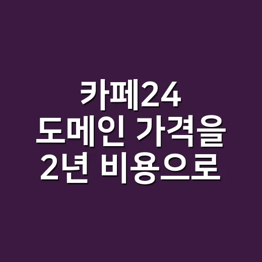 카페24 도메인 가격을 2년 비용으로 비교하는 방법 - 요약