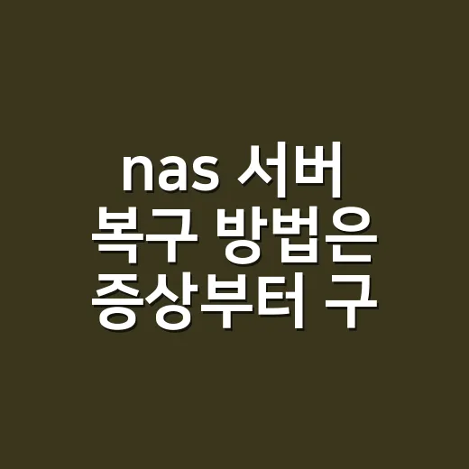 nas 서버 복구 방법은 증상부터 구분하세요 - 요약