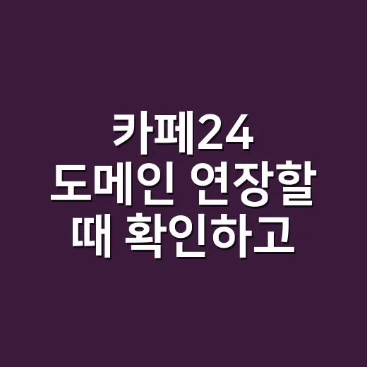 카페24 도메인 연장할 때 확인하고 결제하는 방법 - 요약