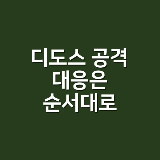 디도스 공격 대응은 순서대로 이렇게 하세요 - 요약