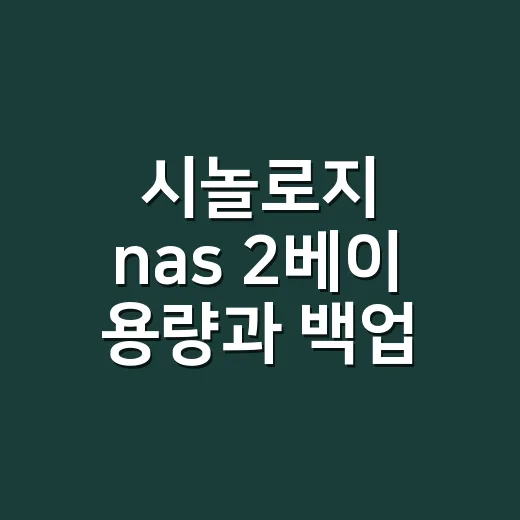 시놀로지 nas 2베이 용량과 백업 정하는 방법 - 요약