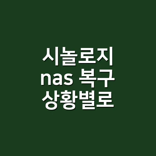 시놀로지 nas 복구 상황별로 안전하게 하는 방법 - 요약