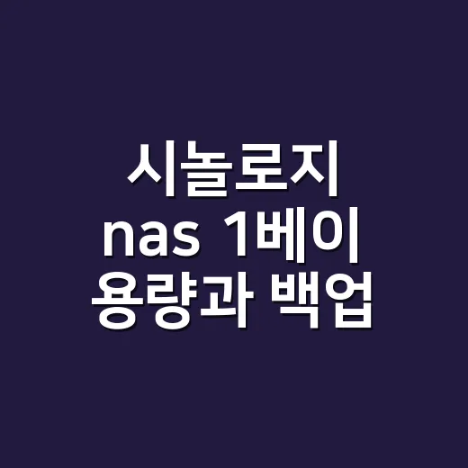 시놀로지 nas 1베이 용량과 백업 정하는 방법 - 요약