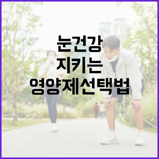 눈 건강을 지키는 영양제 선택법 - 요약