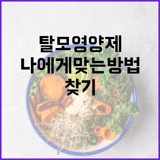 탈모 영양제 선택하기: 나에게 맞는 방법 찾기 - 요약