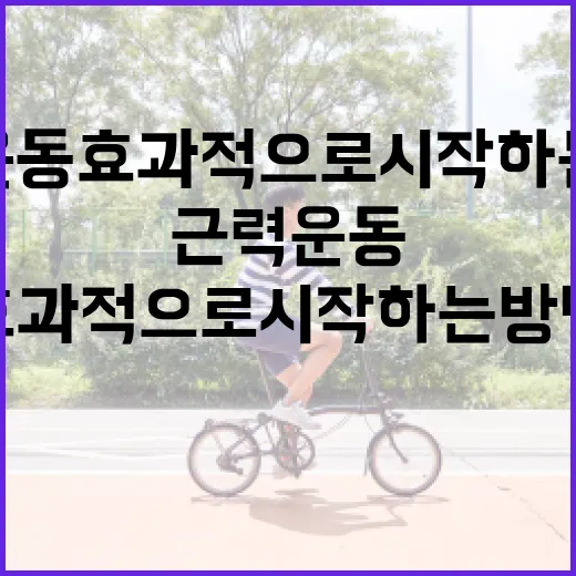 근력운동 효과적으로 시작하는 방법 - 요약