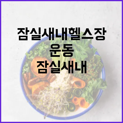 잠실새내헬스장에서 운동을 즐기는 방법 - 요약