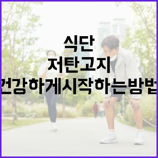 저탄고지식단으로 건강하게 시작하는 방법 - 요약