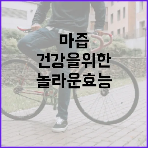마즙의 놀라운 효능: 건강을 위한 자연의 선물 - 요약