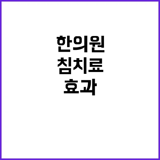 한의원 침 치료, 그 효과와 경험담 - 요약