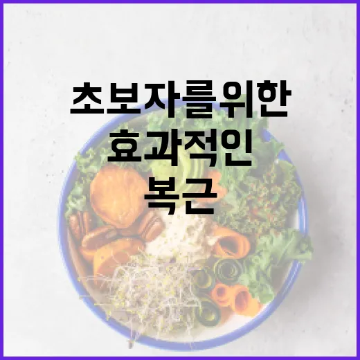 복근운동기구로 효과적인 집에서 운동하기: 초보자를 위한 팁 - 요약